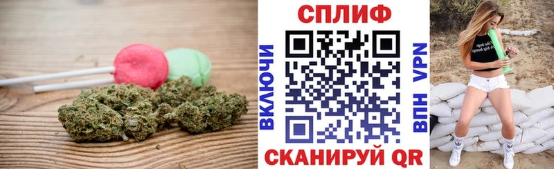 маркетплейс телеграм  Кодинск  Canna-Cookies конопля  как найти  