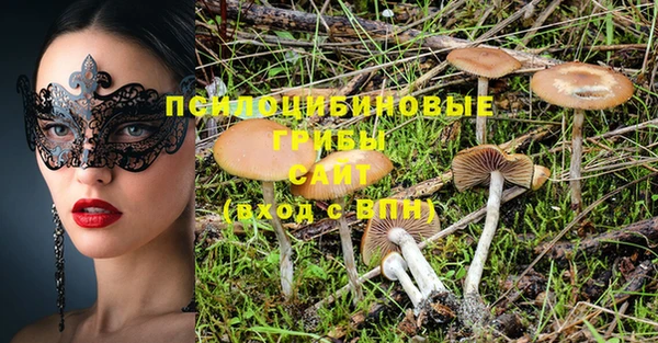 хмурый Белокуриха