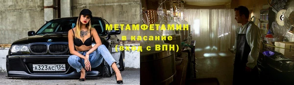 прущие грибы Беломорск