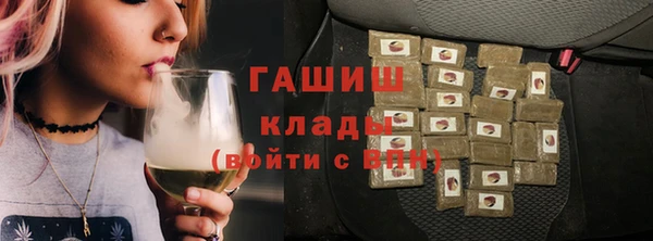 хмурый Белокуриха