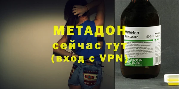 прущие грибы Беломорск