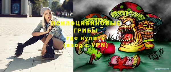 хмурый Белокуриха
