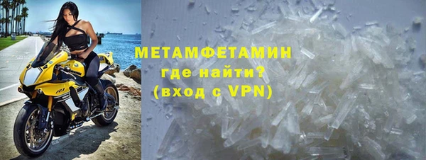 хмурый Белокуриха